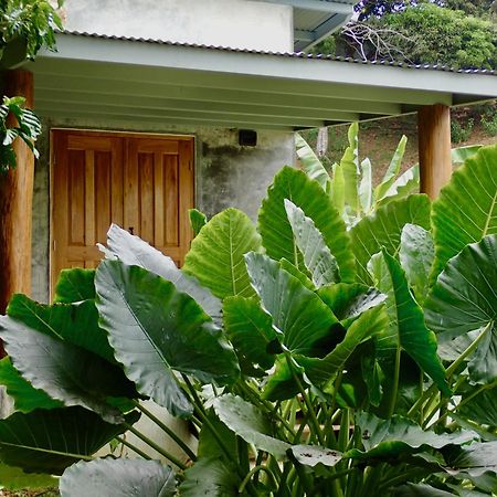 Casa Salvaje Vacation Rentals Bocas del Toro Exteriör bild
